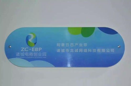 諸城市龍誠網絡科技 賦能地方企業，驅動數字化轉型